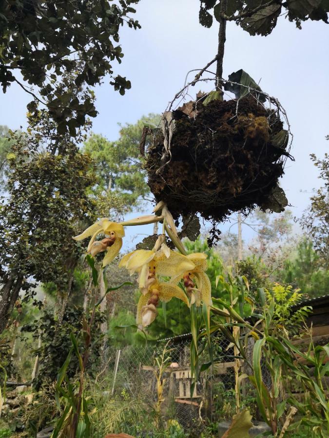 Renta De Cabanas, Centro Ecoturistico Rural Sustentable Labor San Jose San Cristóbal de Las Casas Kültér fotó